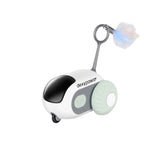 Dexy Paws - Interactive Mouse Toy for Cat - Sage Green