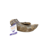 Lamb Horn With Marrow