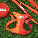 iCandor Snuggle Harness - Sunrise