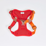 iCandor Snuggle Harness - Sunrise