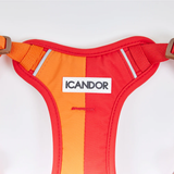 iCandor Snuggle Harness - Sunrise