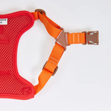 iCandor Snuggle Harness - Sunrise