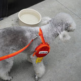 iCandor Gentle Collar - Sunset