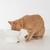 Dexy Paws Cat Ceramic Elevated Bowl - Grey