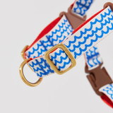 iCandor No Pull Harness - Surfrider