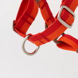 iCandor No Pull Harness - Sunset