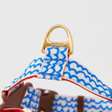 iCandor No Pull Harness - Surfrider