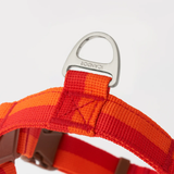 iCandor No Pull Harness - Sunset