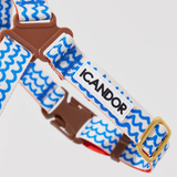 iCandor No Pull Harness - Surfrider