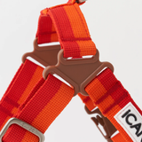 iCandor No Pull Harness - Sunset