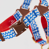 iCandor No Pull Harness - Surfrider