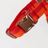 iCandor No Pull Harness - Sunset