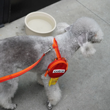 iCandor No Pull Harness - Sunset