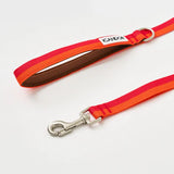 iCandor Gentle Leash - Sunset