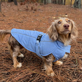 Django Whistler Winter Dog Coat (For Short-legged Breeds)