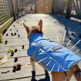 Django Whistler Winter Dog Coat (For Short-legged Breeds)