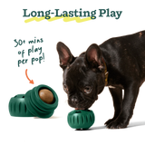 Woof Pupsicle Refill Pops - Peanut Butter and Chicken Recipe