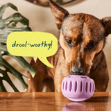 Woof Pupsicle Refill Pops - Peanut Butter and Chicken Recipe