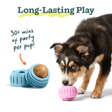 Woof Pupsicle Birthday Pops