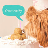 Woof Pupsicle Birthday Pops