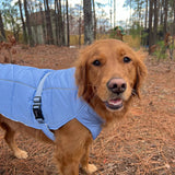 Django Whistler Winter Dog Coat (For Short-legged Breeds)