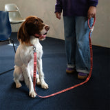 Charlie's Backyard Trip Leash - Berry