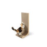 Premium Comfort Scatcher Wall