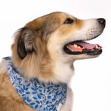 The Paws Blue Berry Dog Bandana