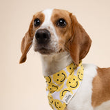 The Paws Smile Dog Bandana