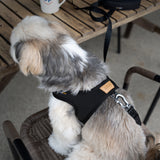Charlie's Backyard Town Cordura Harness - Black
