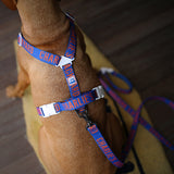 Charlie's Backyard Trip Leash - Blue