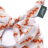 The Paws Sizzle Hotdog Dog Bandana