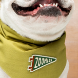 Scout's Honour Zoomies Iron-on Patch For Dogs