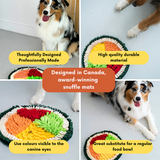 Pawzndogs Hot Sushi Roll Snuffle Mat