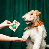 Scout's Honour Trees are for Pees Iron-on Patch For Dogs