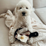 Lambwolf Collective Bfast Set Enrichment Dog Toy