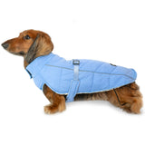 Django Whistler Winter Dog Coat (For Short-legged Breeds)