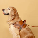 Hozi Saddle Harness - Camel
