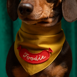 Scout's Honour Foodie Iron-on Patch for Dogs
