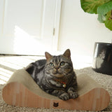 Premium Comfort Curved Cat Lounger