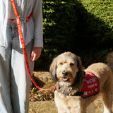 Twiggy Tags Awareness Close Control Lead for Dogs - Nervous