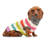 Love Thy Beast Light Rainbow Stripe Merino Wool Knit Sweater
