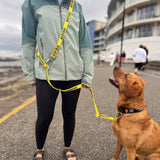 Twiggy Tags Awareness Close Control Lead for Dogs - Nervous