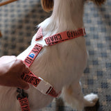 Charlie's Backyard Trip Harness - Berry