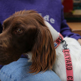 Charlie's Backyard Trip Collar - Berry