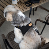 Charlie's Backyard Town Cordura Leash - Black