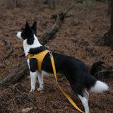 Charlie's Backyard Town Cordura Harness - Yellow