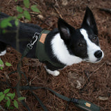 Charlie's Backyard Town Cordura Harness - Khaki