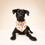 The Paws Clementine Dog Bandana