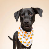 The Paws Clementine Dog Bandana
